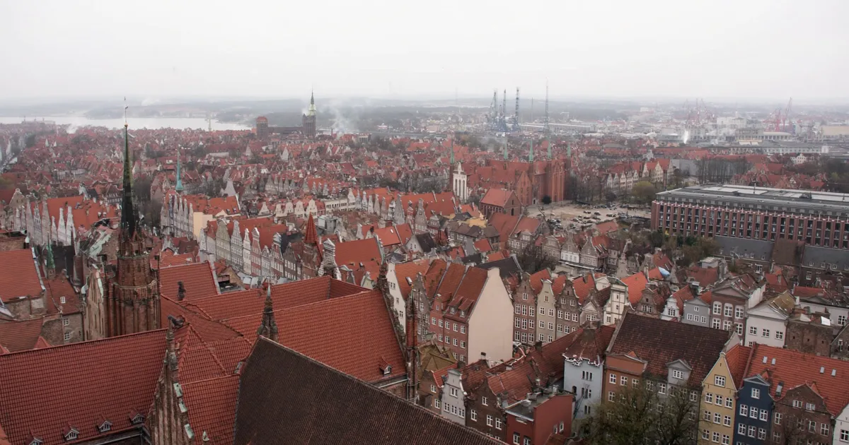 Widok z wysokiej wieży na gdańskie Główne Miasto — morze czerwonych dachów i szczytów kamienic, w oddali port z dźwigami stoczniowymi