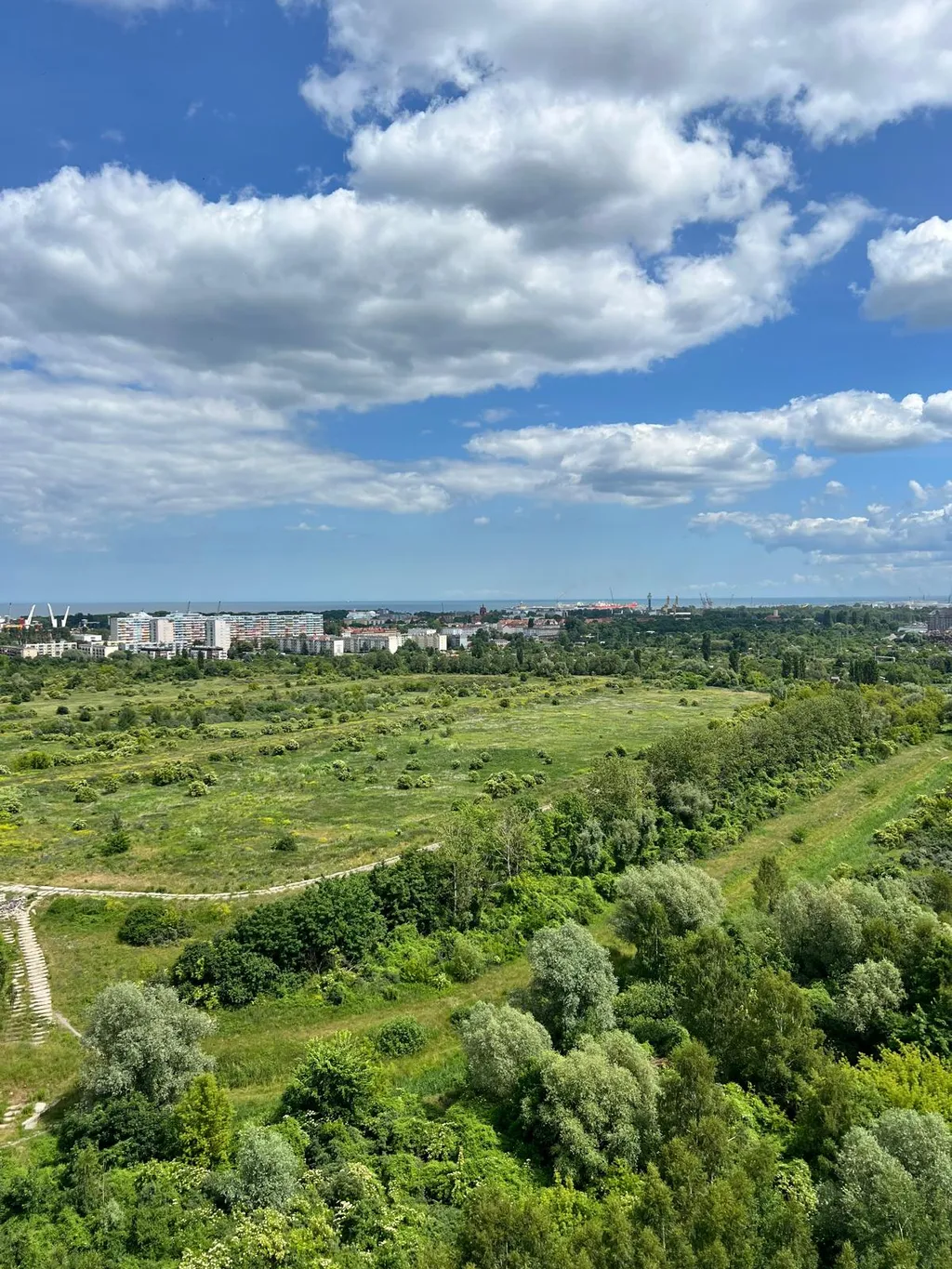 Las Arkoński i Zatoka Gdańska — zielona trasa spacerowa i widok na Bałtyk, idealna dla rodzin z dziećmi